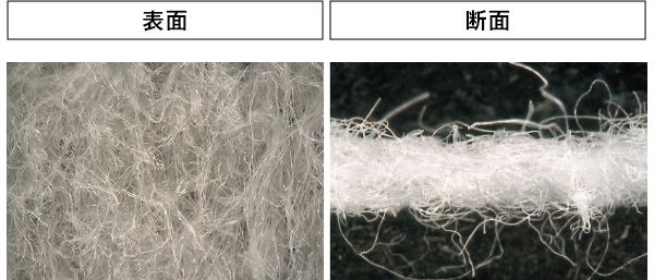 05：FAS 表面 断面