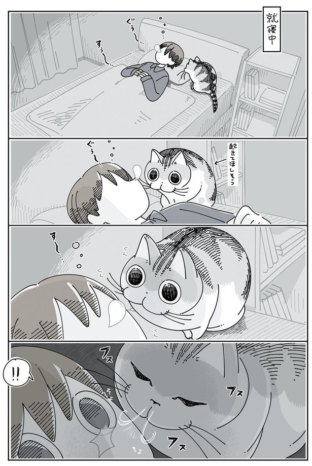 鼻息で起こすネコ （C）キュルZ／KADOKAWA