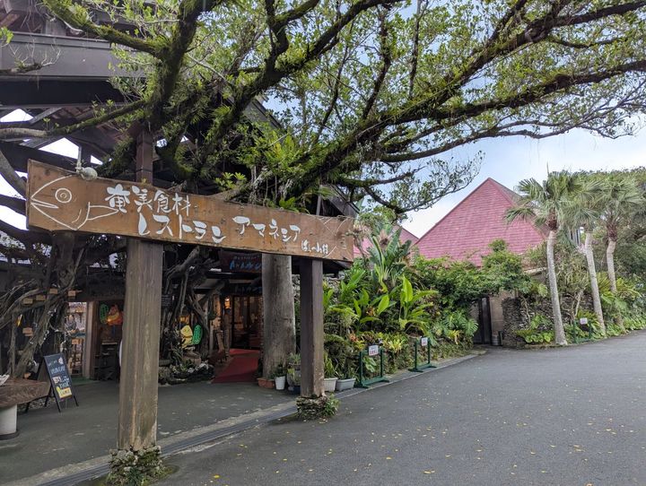 入り口に立つ大きなシンボルツリー。 木の看板には大きな魚が描かれている。 右側にレストランAMAネシア、中央にショップがある。