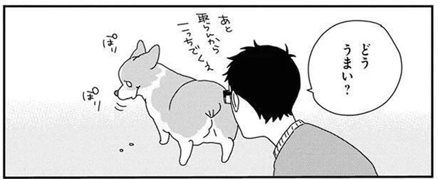 もっとちょうだい！キリがない、ワンコのおやつ催促 (C)らくだ／KADOKAWA