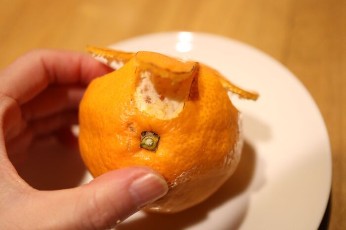 農水省が紹介した『みかんのむき方』がおもしろい！絶対やりたくなるむき方4選♡家族で楽しんで♪