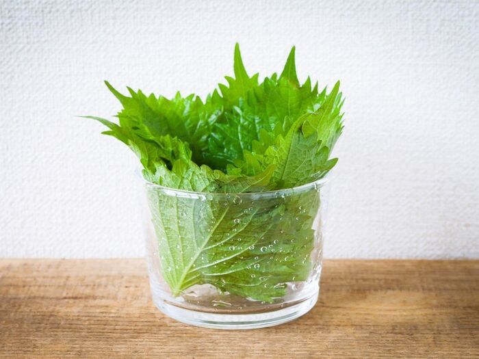 「大葉」と「しそ」の違い。正しく言えたら天才！？【大人のたしなみ】