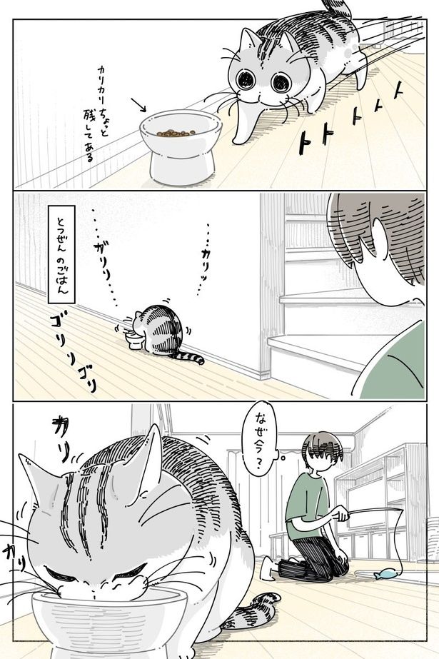 02 画像提供：キュルZ@kyuryuZ