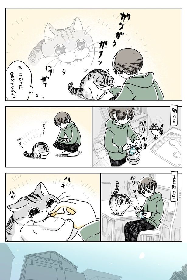 02 画像提供：キュルZ@kyuryuZ