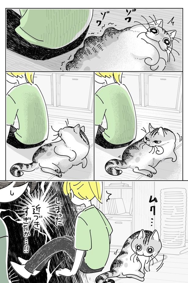 02 画像提供：キュルZ@kyuryuZ