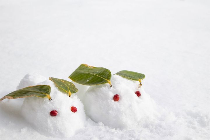 家族で楽しみたい「年始の行事」1位は？