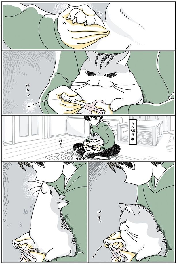 ツメ切り中 （C）キュルZ／KADOKAWA