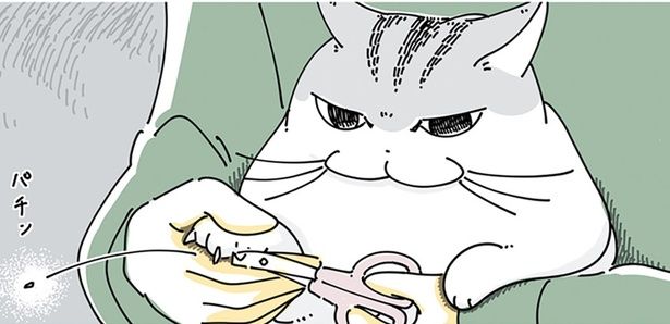 爪切りを嫌がる猫 （C）キュルZ／KADOKAWA