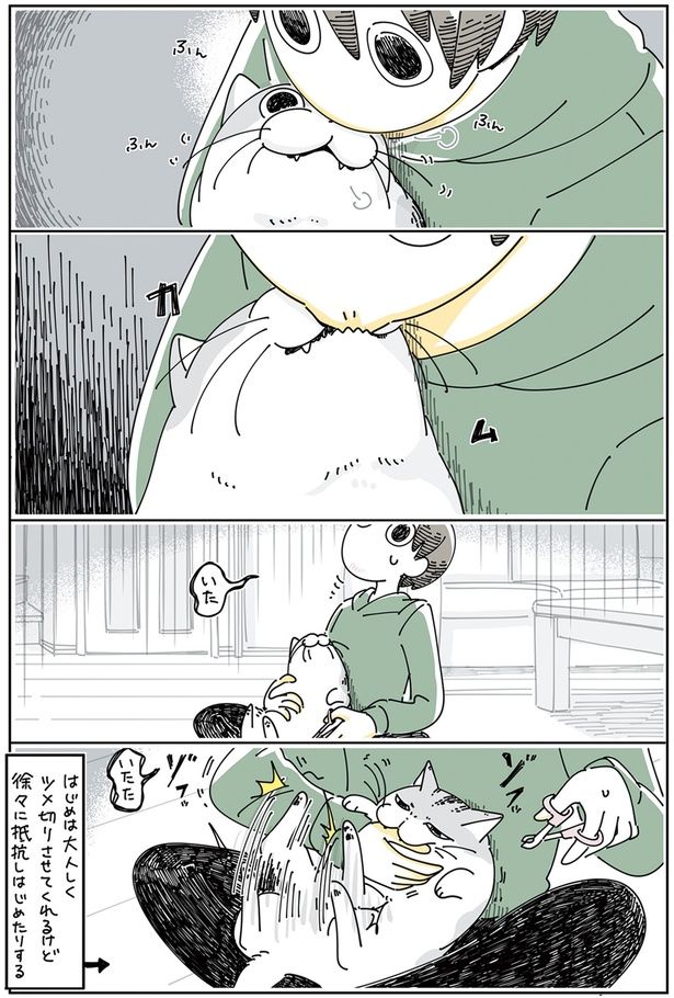 徐々に抵抗しはじめたりする （C）キュルZ／KADOKAWA