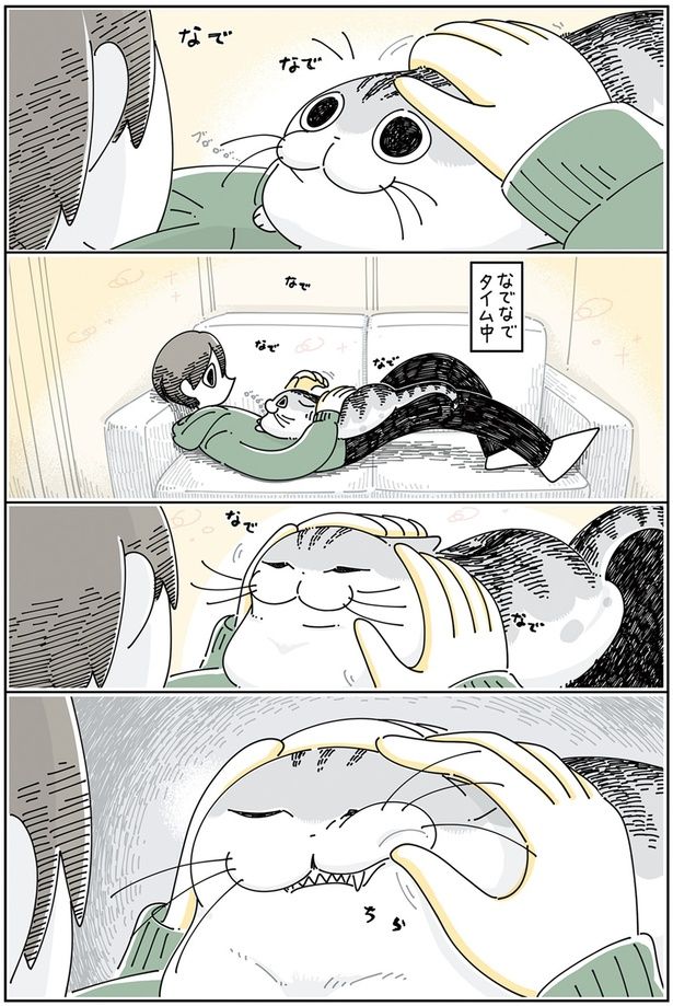 なでなでタイム中 （C）キュルZ／KADOKAWA