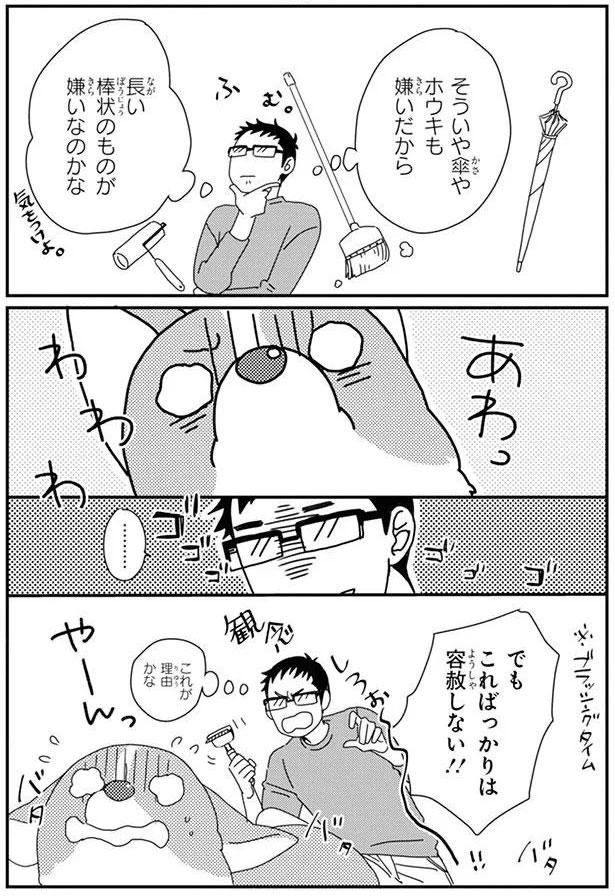 でもこればっかりは容赦しない！！ (C)らくだ／KADOKAWA