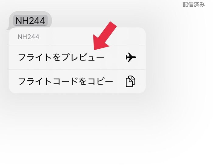 家族の飛行機は今どこ？iPhoneのメッセージアプリでフライト情報を確認する方法！