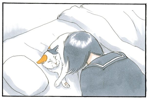 猫吸い （C）にごたろ／KADOKAWA