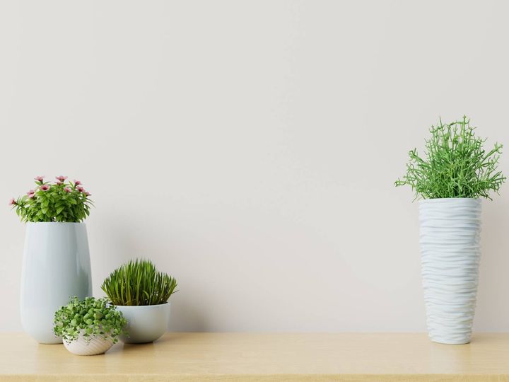 廊下 人気運 上がる 観葉植物 生花