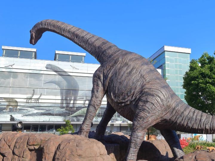 All About ニュース編集部が全国250人を対象に実施した「治安がいいと思う市に関するアンケート」の調査結果から、「治安がいい」と思う福井県の市ランキングを発表！ 2位「勝山市」を抑えた1位は？