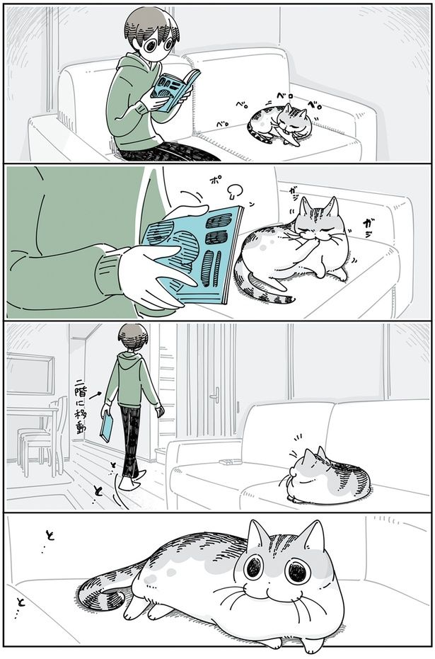 ついてきてくれるネコ （C）キュルZ／KADOKAWA