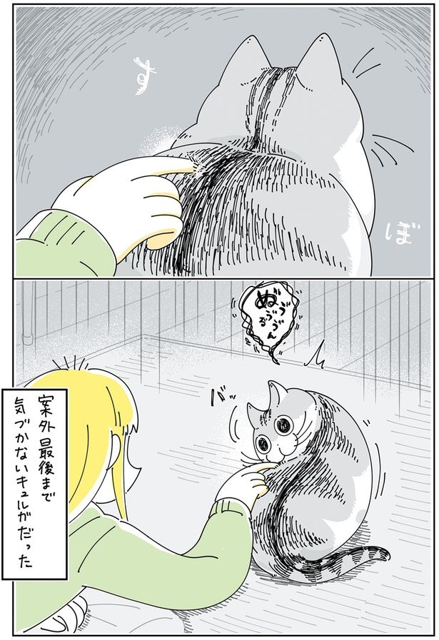 案外最後まで気づかない （C）キュルZ／KADOKAWA