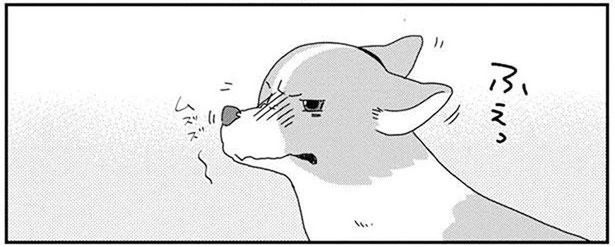 ワンコの鼻がムズムズ！思いっきりくしゃみしたら大惨事に！ (C)らくだ／KADOKAWA