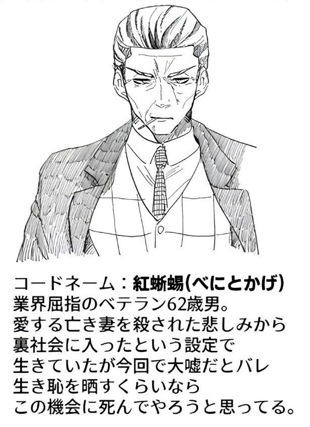 イケオジのプロフィールに失笑！あきらめずにがんばってほしい 墨染清(@sumizomesei)