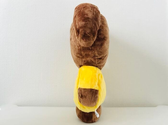 見たらゼッタイ欲しくなる！【50代・60代】ふんわりお迎えクッションを〈付録〉をゲット。心も暮らしもうるおうこと間違いなしですよ♪