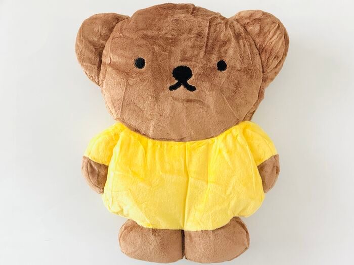 見たらゼッタイ欲しくなる！【50代・60代】ふんわりお迎えクッションを〈付録〉をゲット。心も暮らしもうるおうこと間違いなしですよ♪