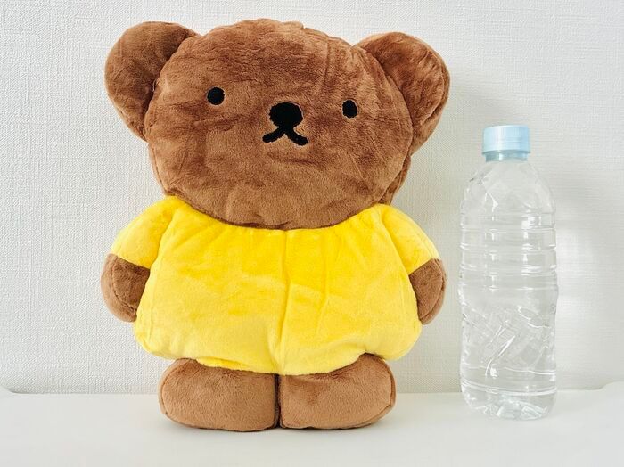 見たらゼッタイ欲しくなる！【50代・60代】ふんわりお迎えクッションを〈付録〉をゲット。心も暮らしもうるおうこと間違いなしですよ♪