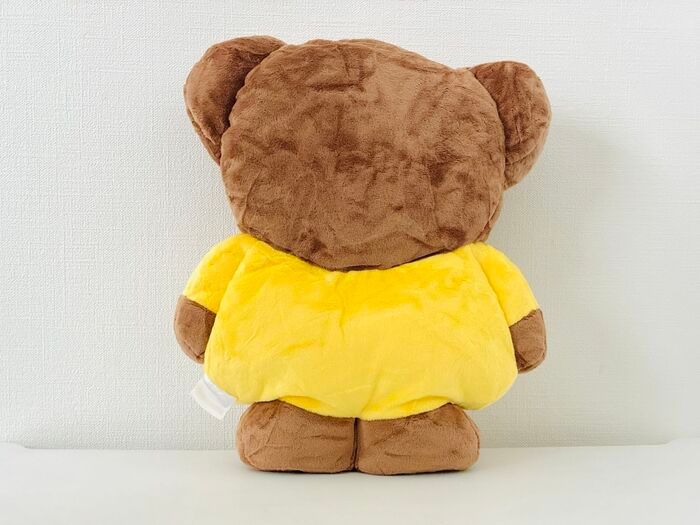 見たらゼッタイ欲しくなる！【50代・60代】ふんわりお迎えクッションを〈付録〉をゲット。心も暮らしもうるおうこと間違いなしですよ♪