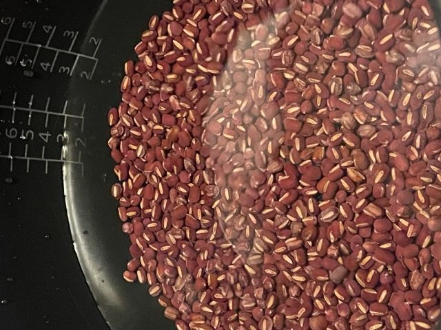 炊飯器の中の水と小豆