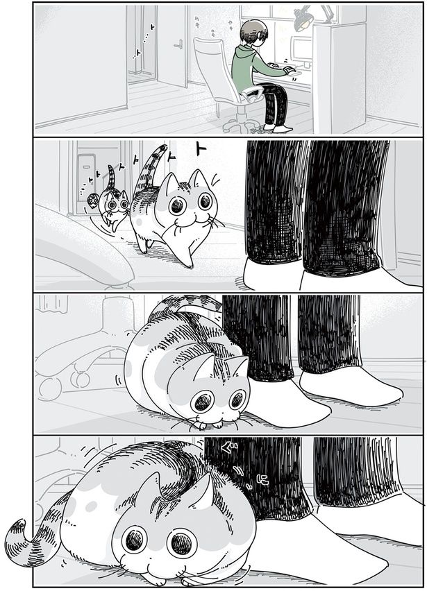 こんな時に限ってへそ天 （C）キュルZ／KADOKAWA