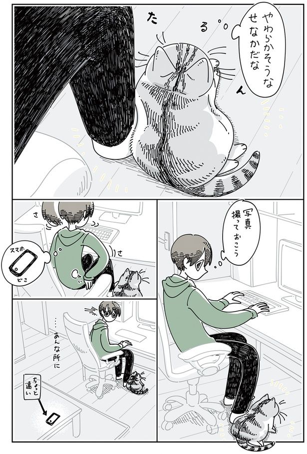 やわらかそうなせなかだな （C）キュルZ／KADOKAWA