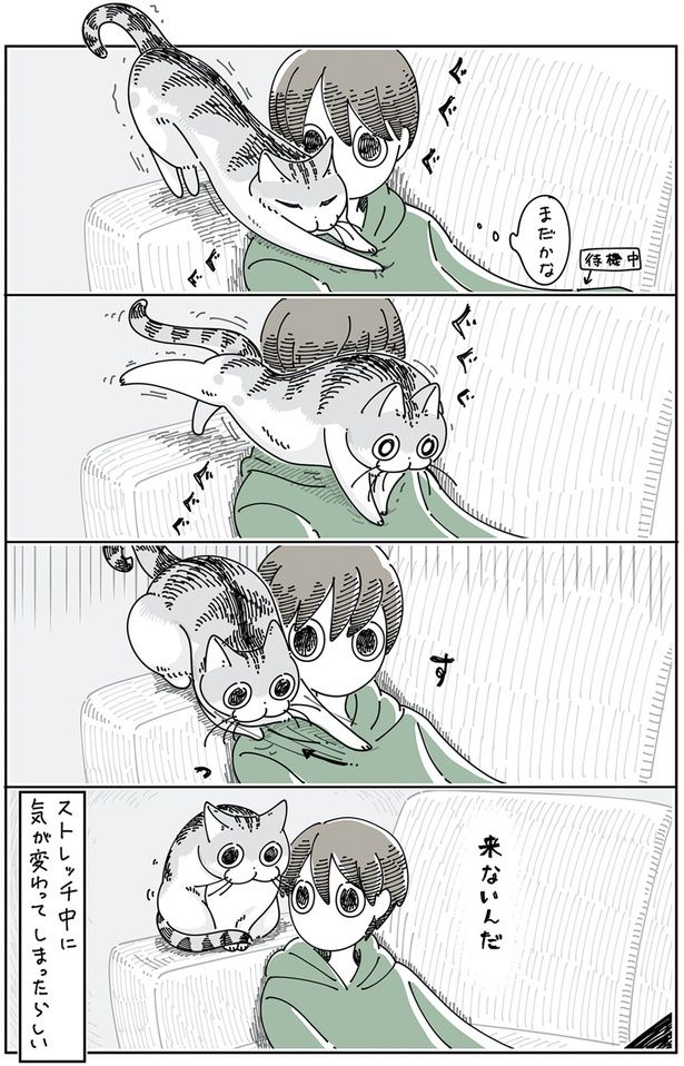 来ないんだ （C）キュルZ／KADOKAWA