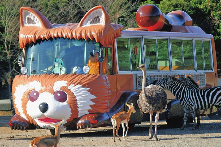 猛獣のエサやり体験（バス代別途1100円）