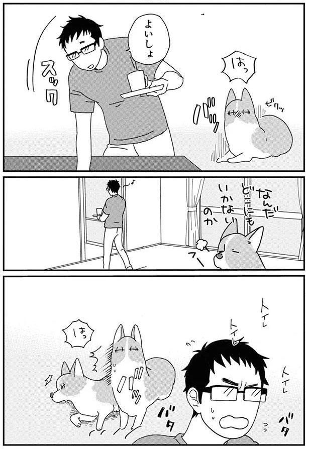 なんだどこにもいかないのか (C)らくだ／KADOKAWA