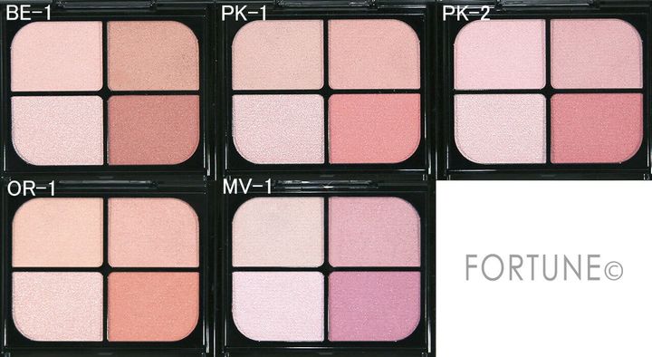 KATE（ケイト） 『ケイト バウンシーチークシャド...