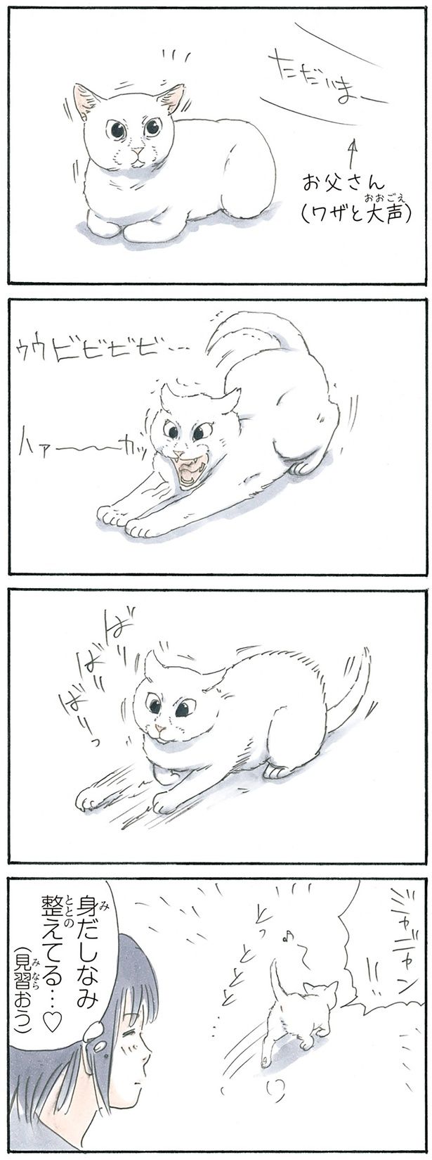 整える （C）にごたろ／KADOKAWA