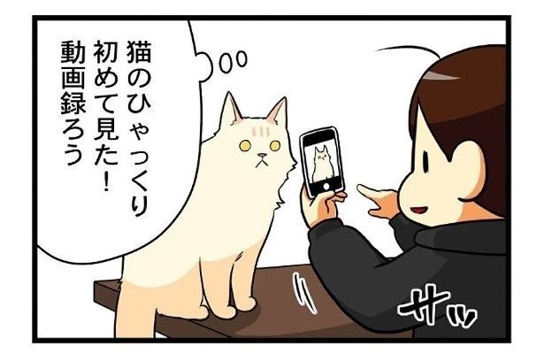 すかさず動画を撮ろうとスマホを向けてみた もちこ(@mogutchecho)