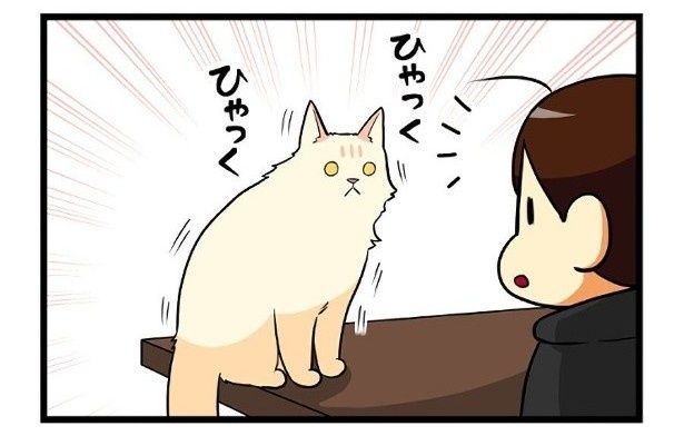 ある日もちこさんはミカがしゃっくりをしているところを目撃！ もちこ(@mogutchecho)