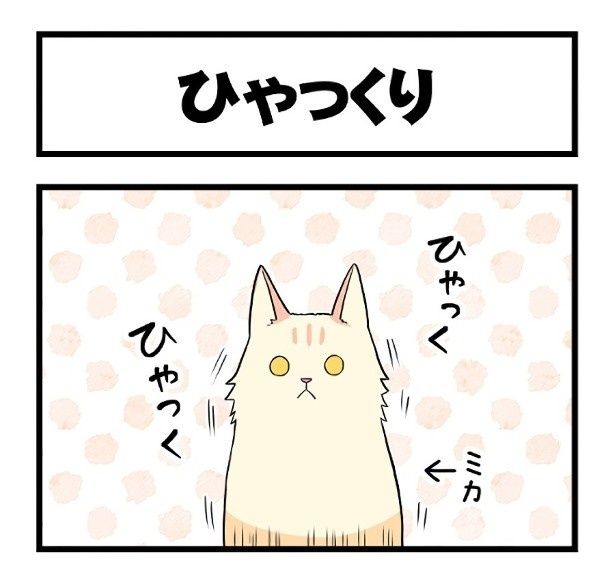 こ、これは…!!猫もしゃっくりをするのか！ もちこ(@mogutchecho)