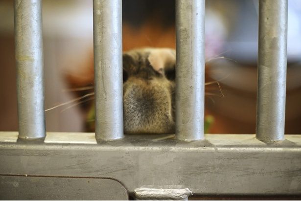 見上愛さんが撮影した写真