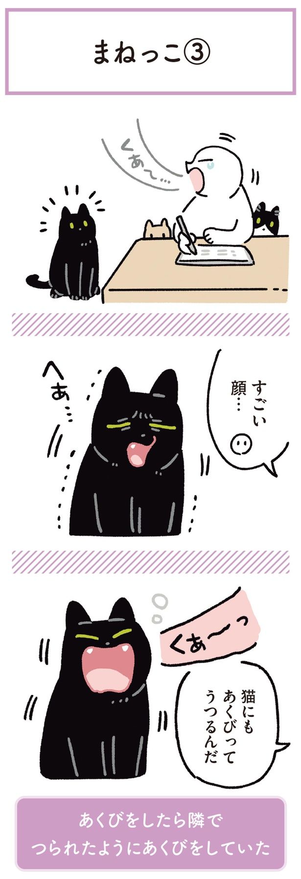 猫にもあくびってうつるんだ （C）AKR／KADOKAWA