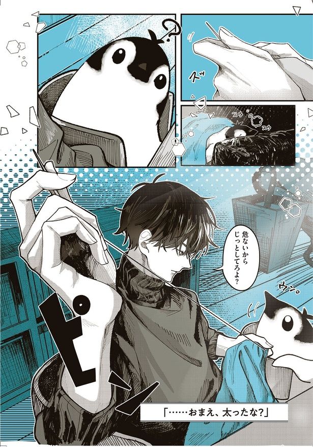 危ないからじっとしてろよ？ （C）世禕／KADOKAWA