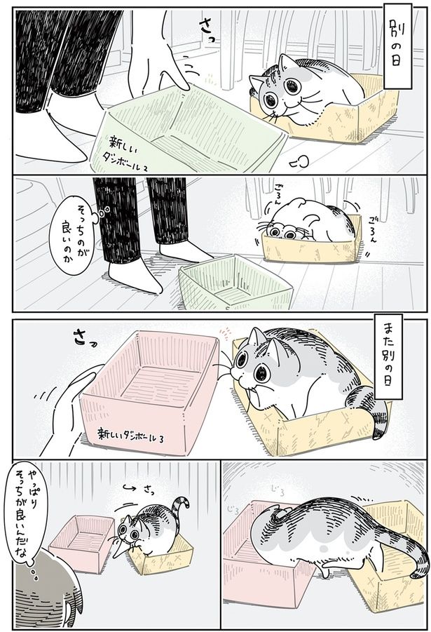 やっぱりそっちが良いんだな （C）キュルZ／KADOKAWA