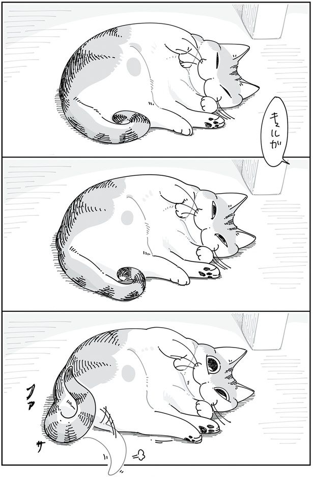 しっぽで返事 （C）キュルZ／KADOKAWA