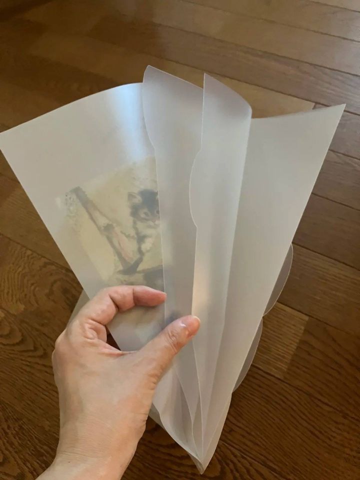 Seria(セリア)：A4クリアホルダー 5ポケット マスターピースコレクション/FA