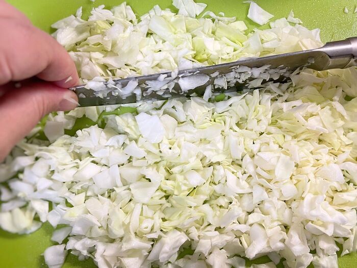 【家事ヤロウ!!!】和田明日香さんの『餃子をジューシーに仕上げるコツ』が大好評！タレなしでも美味しいーー！！