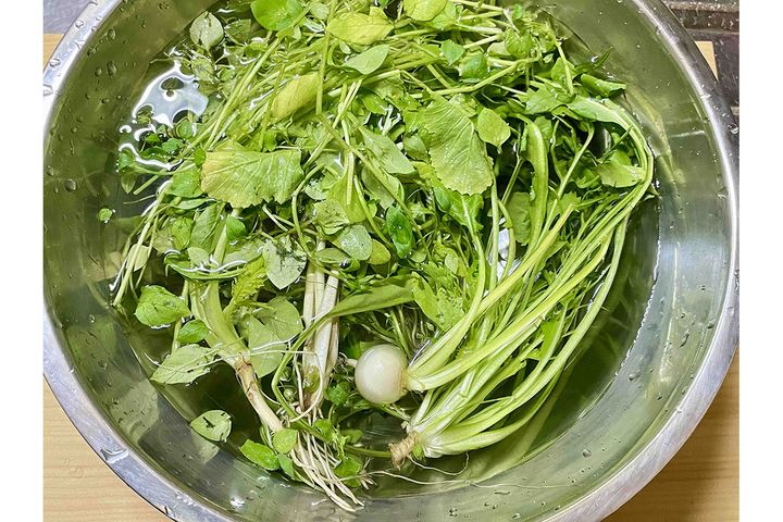 七草は根付きで売られていることが多いので、水に浸してたっぷり吸わせ、汚れを落としましょう。この浸し水に爪をつけて切ると縁起が良いらしい..。