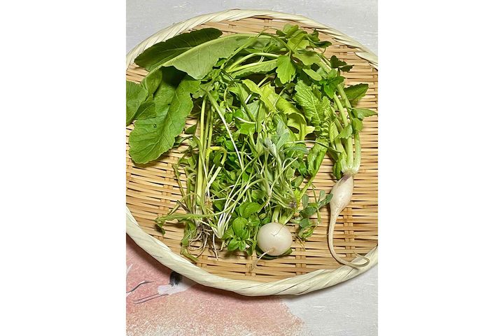 筆者が購入した七草セット（セリ・ナズナ・ゴギョウ・ハコベラ・ホトケノザ・スズナ・スズシロ）