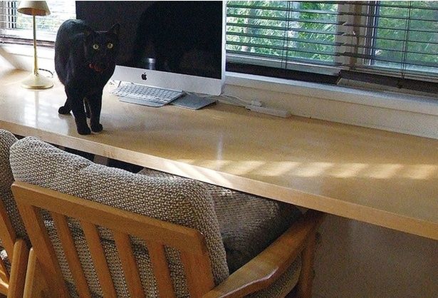 仕事場には何も置かず、集中力UP！ (C)ゆるりまい／KADOKAWA