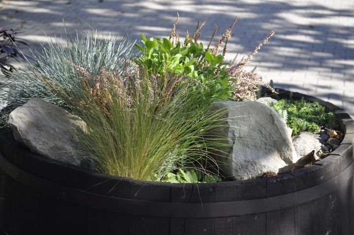 グラスを植えた寄せ植え