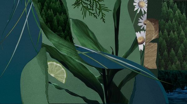 BAUMが樹木の香りのオーデコロンを再発売。持ち運びに便利なミニサイズ3香調が登場